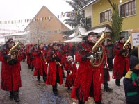 Kleggau Narrentreffen 2010