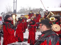 Kleggau Narrentreffen 2010