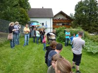 Maienstellen bei Melanie und Stefan 2010