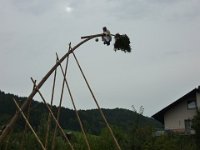 Maienstellen bei Melanie und Stefan 2010