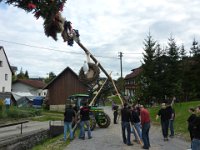 Maienstellen bei Nicole und Matze 2010