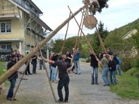 Maienstellen bei Nicole und Matze 2010