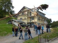 Maienstellen bei Nicole und Matze 2010