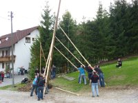 Maienstellen bei Nicole und Matze 2010