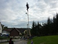 Maienstellen bei Nicole und Matze 2010