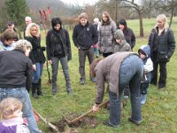 Bäumle setzen bei Carina und Thomas 2011