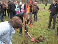 Bäumle setzen bei Carina und Thomas 2011