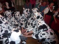 Frauenfasnacht Stühlingen 2011