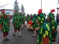 Grafenhausen Narrentreffen 2012