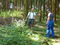 Maienstellen bei Melanie und Marco 2012