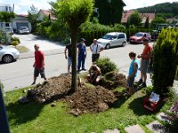 Maienstellen bei Melanie und Marco 2012