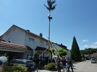 Maienstellen bei Melanie und Marco 2012