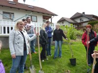 Bäumle setzen bei Nicole und  Sascha 2013