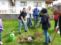 Bäumle setzen bei Nicole und  Sascha 2013