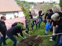 Bäumle setzen bei Silke und Heiko 2014