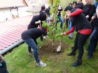 Bäumle setzen bei Silke und Heiko 2014