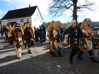 Bettmaringen Umzug 2014