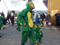 Bettmaringen Umzug 2014