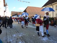 Bettmaringen Umzug 2014