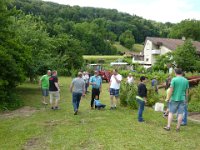 Maienstellen bei Carina und Thomas 2014