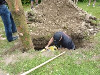 Maienstellen bei Carina und Thomas 2014