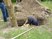 Maienstellen bei Carina und Thomas 2014