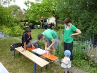 Maienstellen bei Carina und Thomas 2014