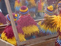 Fasnet Mändig 2015