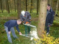 Maienstellen bei Berni und Lorenz 2015