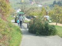 Maienstellen bei Berni und Lorenz 2015