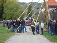 Maienstellen bei Berni und Lorenz 2015