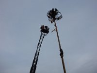 Maienstellen bei Berni und Lorenz 2015