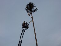 Maienstellen bei Berni und Lorenz 2015