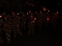 Weizen Narrentreffen Nachtumzug 2015
