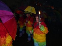 Weizen Narrentreffen Nachtumzug 2015