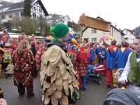 Weizen Narrentreffen Umzug 2015