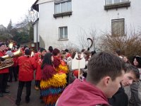 Weizen Narrentreffen Umzug 2015