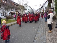 Weizen Narrentreffen Umzug 2015