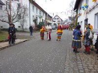 Weizen Narrentreffen Umzug 2015