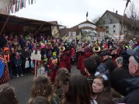 Weizen Narrentreffen Umzug 2015