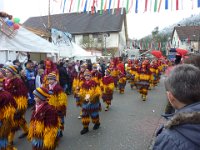 Weizen Narrentreffen Umzug 2015