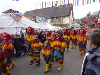 Weizen Narrentreffen Umzug 2015