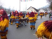 Weizen Narrentreffen Umzug 2015