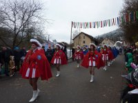 Weizen Narrentreffen Umzug 2015