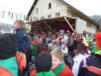 Weizen Narrentreffen Umzug 2015