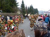 Eggingen Narrentreffen Umzug 2016