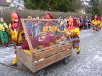 Eggingen Narrentreffen Umzug 2016