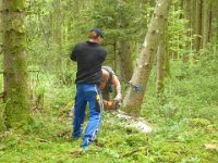 Maienstellen Silke und Heiko