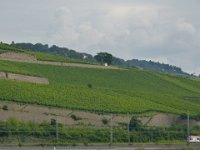 Ausflug nach Rüdesheim`18