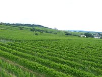 Ausflug nach Rüdesheim`18